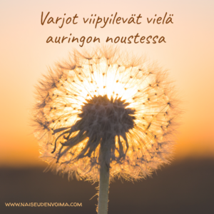 Varjot viipyilevät vielä auringon noustessa